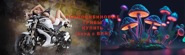 шишки Балахна