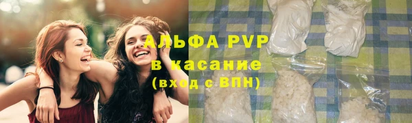 шишки Балахна
