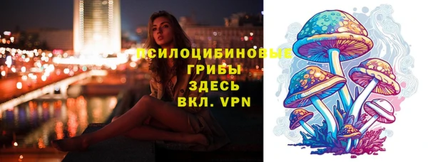 шишки Балахна