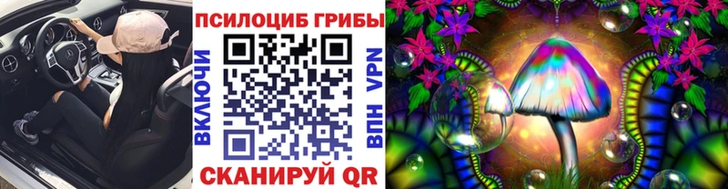 что такое   kraken зеркало  даркнет официальный сайт  Красный Холм  Галлюциногенные грибы GOLDEN TEACHER 